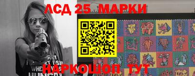 индика Вязьма