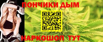 индика Вязьма