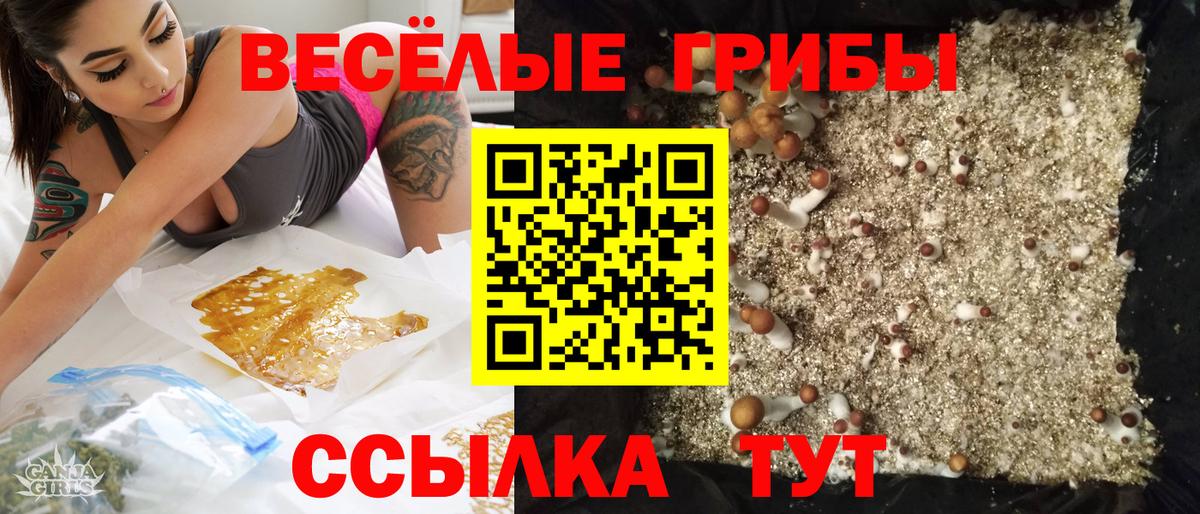 Псилоцибиновые грибы Cubensis  Вход с VPN  наркошоп  Борисоглебск 