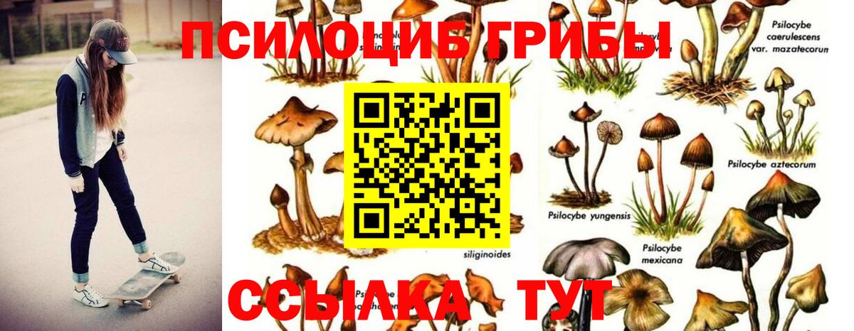 Галлюциногенные грибы прущие грибы Борисоглебск